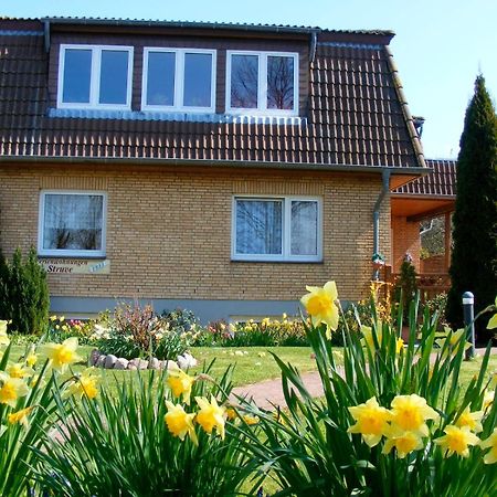 Ferienwohnung Struve Nr4 Petersdorf auf Fehmarn Εξωτερικό φωτογραφία